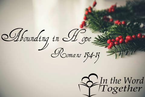 christmas holly decoration