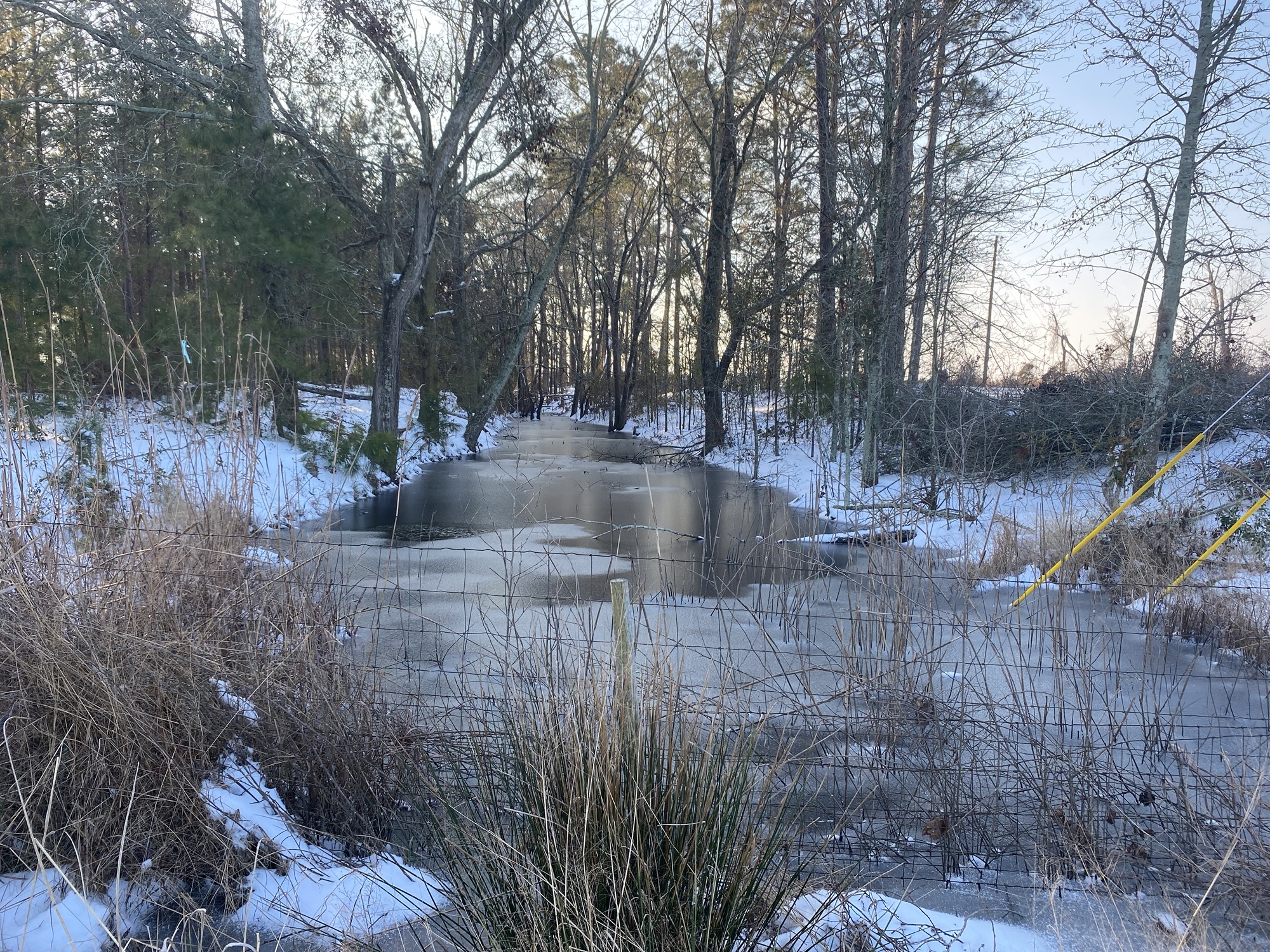 The Bar Pit at the end of the driveway froze over! 